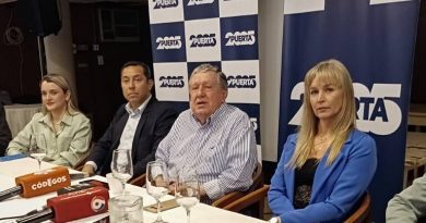 Julieta Koch: “La industria maderera está en crisis y las PyMES trabajan a la mitad de su capacidad”