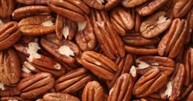 Entre Ríos: Exportan 20 toneladas de nuez pecán a China