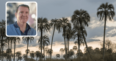 Pablo Aceñolaza: “En Entre Ríos estamos advirtiendo el peligro del Picudo Rojo que pueda afectar a nuestra Palmera Yatay”