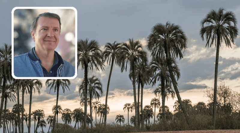 Pablo Aceñolaza: “En Entre Ríos estamos advirtiendo el peligro del Picudo Rojo que pueda afectar a nuestra Palmera Yatay”