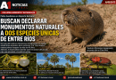 Entre Ríos: Buscan declarar monumentos naturales a dos especies únicas de la provincia