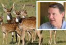 Pablo Aceñolaza: “No todo animal que está protegido debe permanecer en un área natural protegida”
