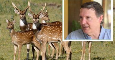 Pablo Aceñolaza: “No todo animal que está protegido debe permanecer en un área natural protegida”