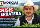 Misiones: Productor yerbatero advierte sobre la crisis del sector y el impacto en miles de familias