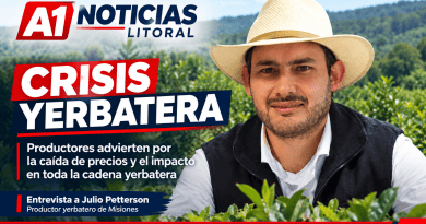 Misiones: Productor yerbatero advierte sobre la crisis del sector y el impacto en miles de familias
